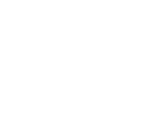 Fuller Solutions Logo